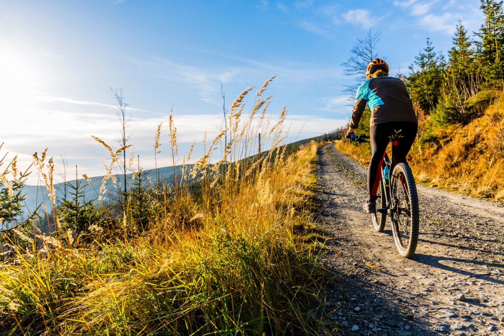 Cyclist riding on a scenic mountain trail.